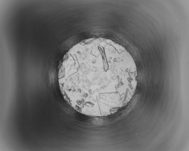 X0000102530623200809051510