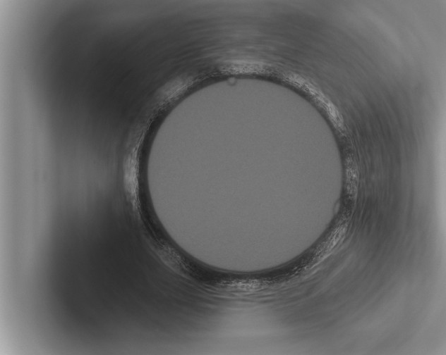 X0000102530631200809051510