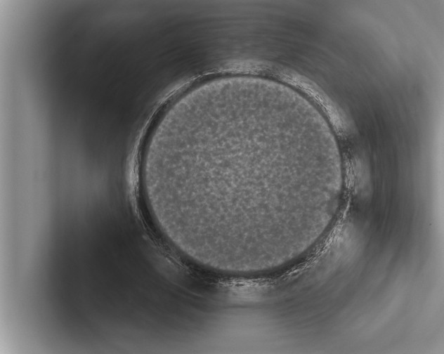 X0000102530632200809051510