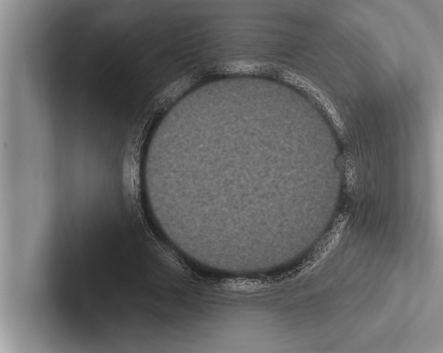 X0000102530633200809051510