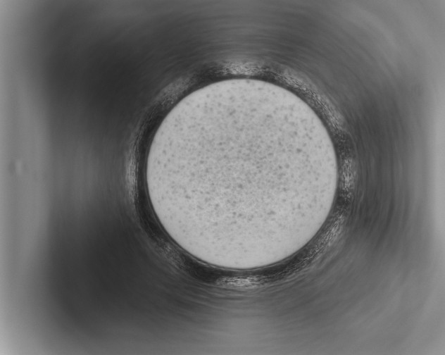 X0000102530639200809051510