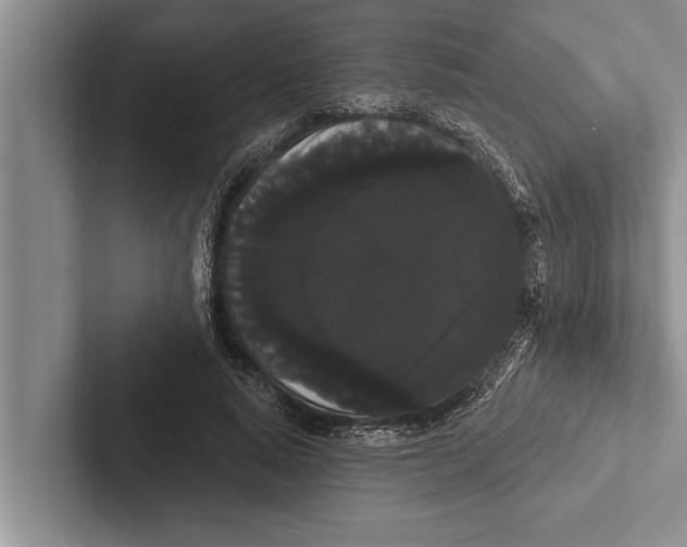 X0000102530640200809051510