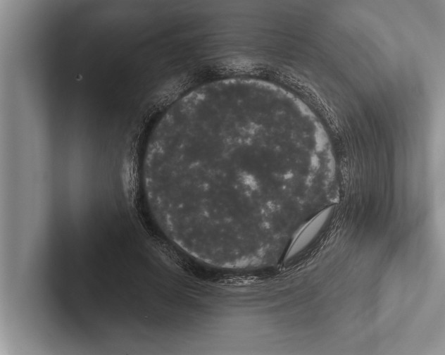 X0000102530642200809051510