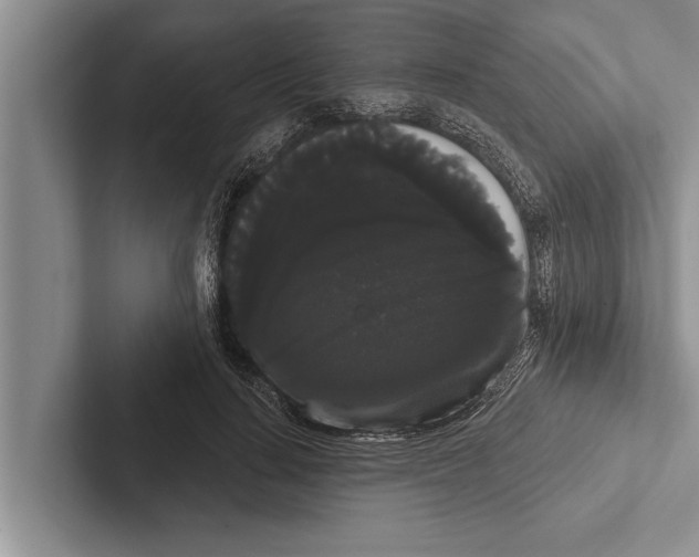X0000102530644200809051510