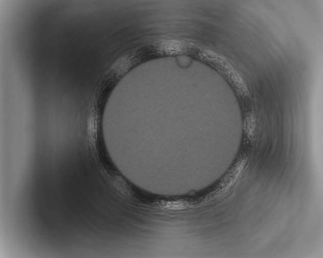 X0000102530645200809051510