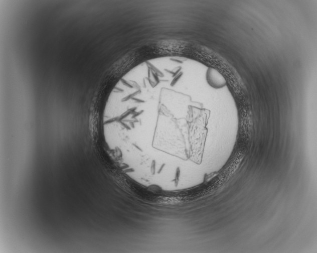 X0000102530649200809051510
