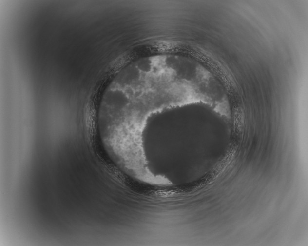 X0000102530650200809051510