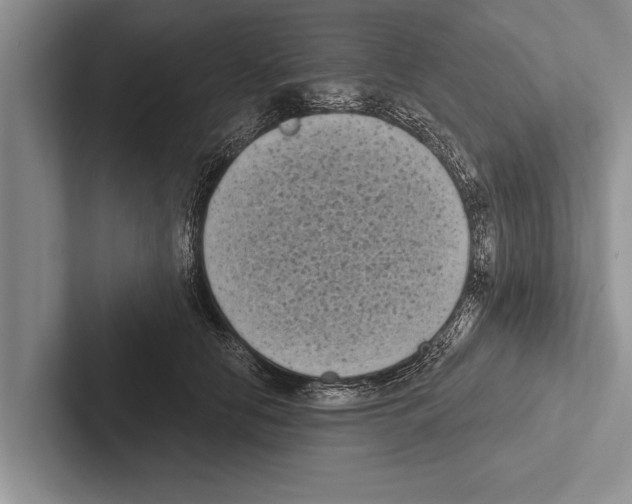 X0000102530658200809051510