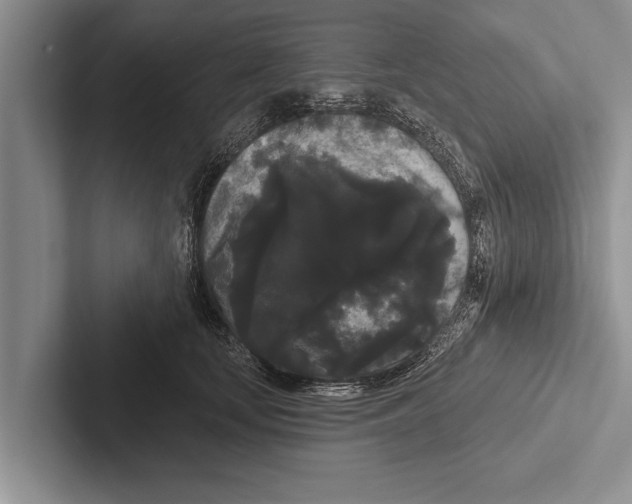 X0000102530659200809051510