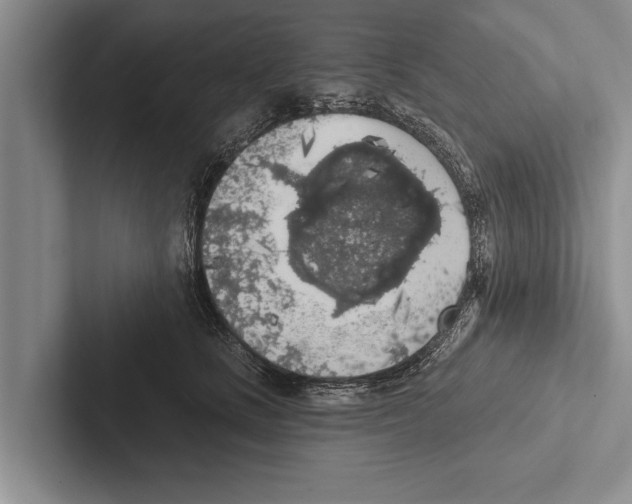 X0000102530661200809051510