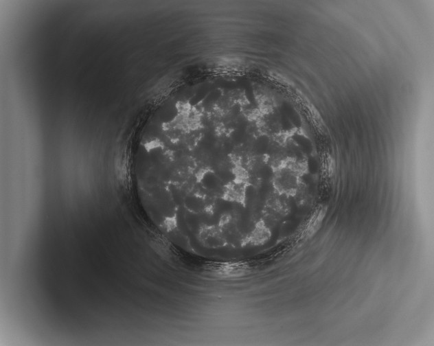 X0000102530663200809051510