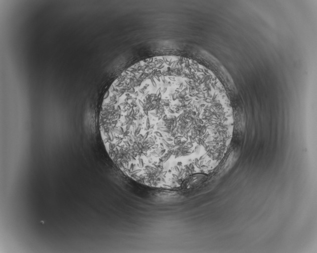 X0000102530669200809051510