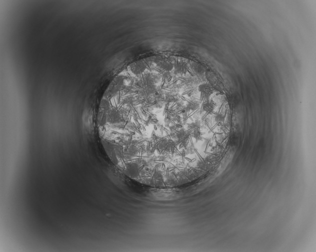 X0000102530671200809051510