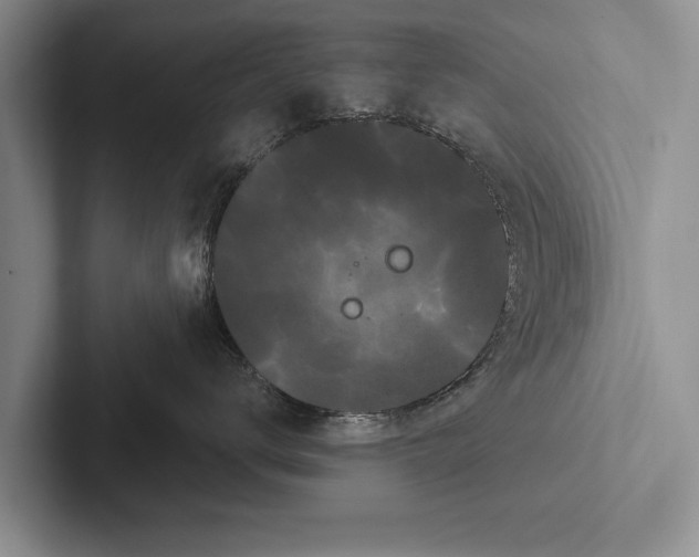 X0000102530672200809051510