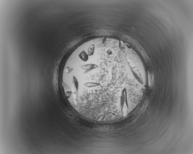 X0000102530675200809051510