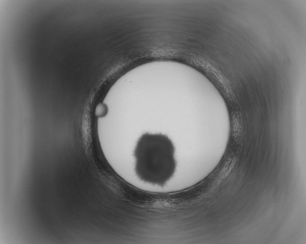 X0000102530684200809051510