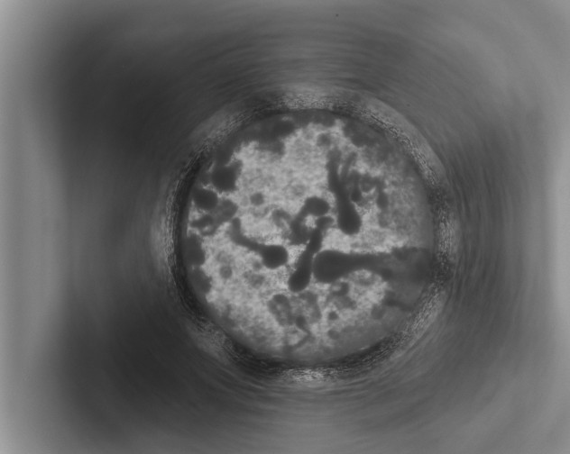 X0000102530687200809051509
