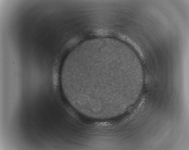 X0000102530689200809051509