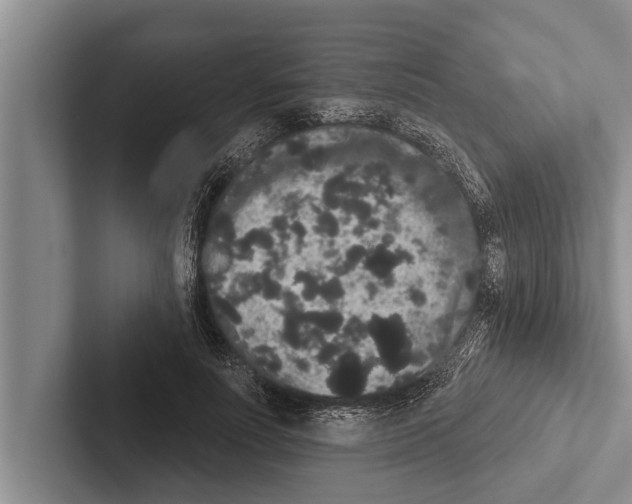 X0000102530691200809051509