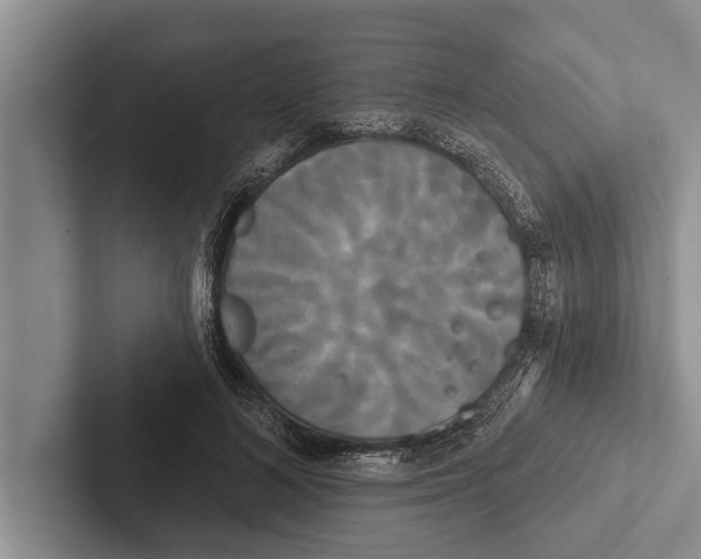 X0000102530692200809051509