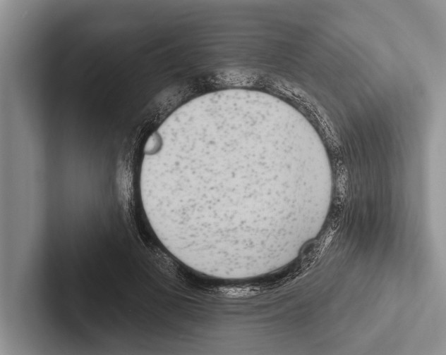 X0000102530693200809051509