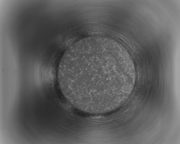 X0000102530695200809051509