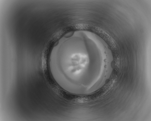X0000102530696200809051509