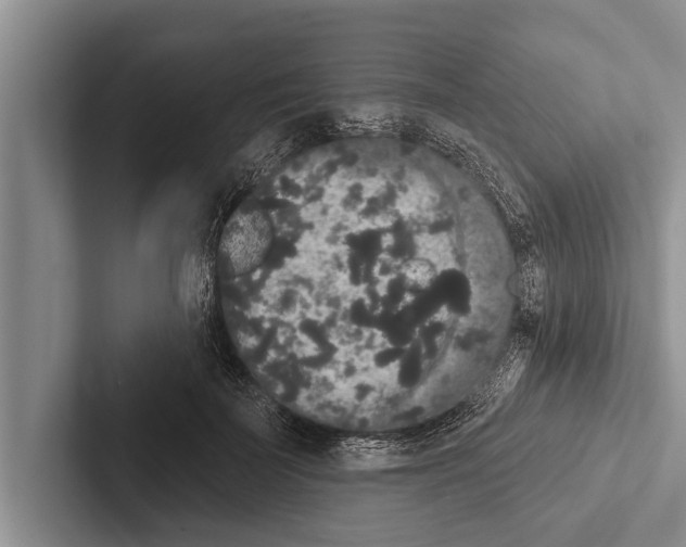 X0000102530699200809051509