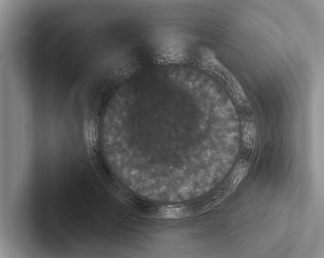 X0000102530701200809051509
