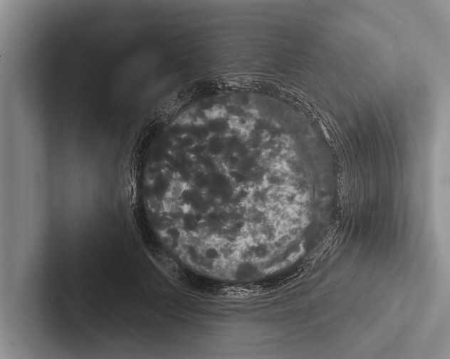 X0000102530703200809051509