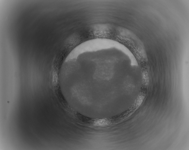 X0000102530705200809051509