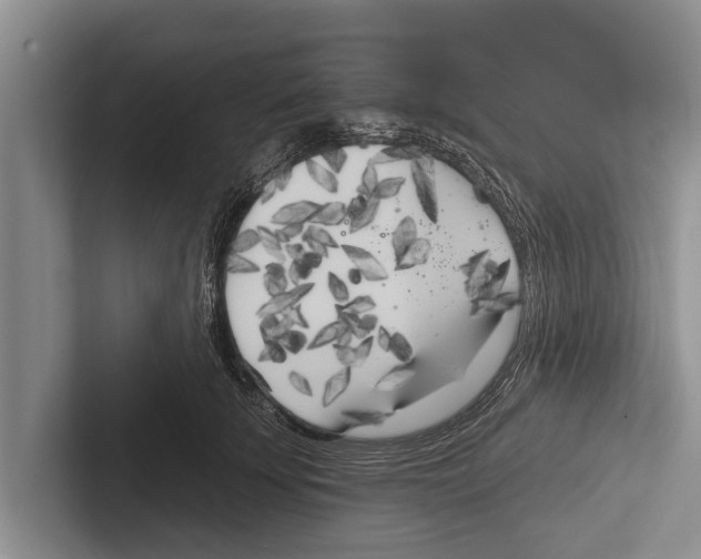 X0000102530707200809051509