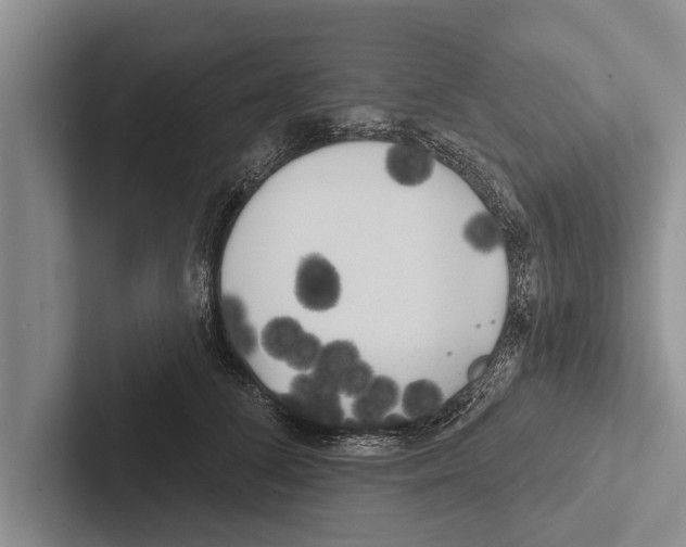 X0000102530708200809051509
