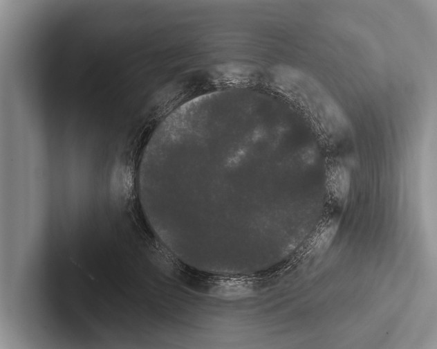 X0000102530709200809051509