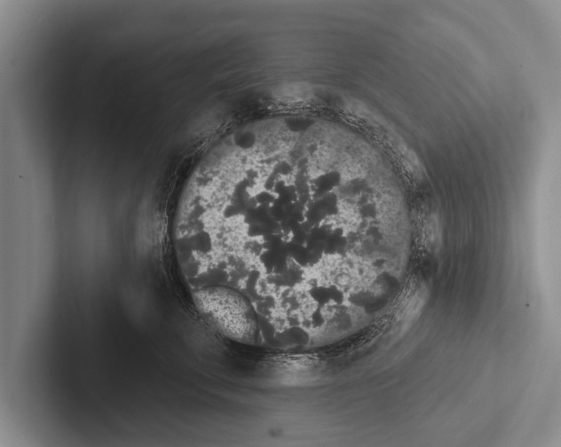 X0000102530711200809051509