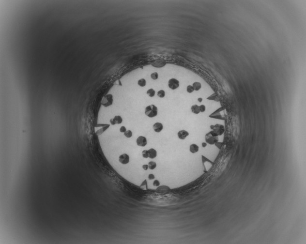 X0000102530712200809051509