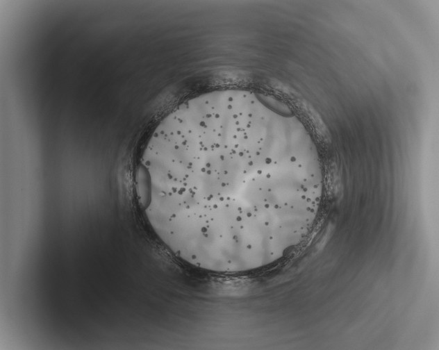 X0000102530716200809051509