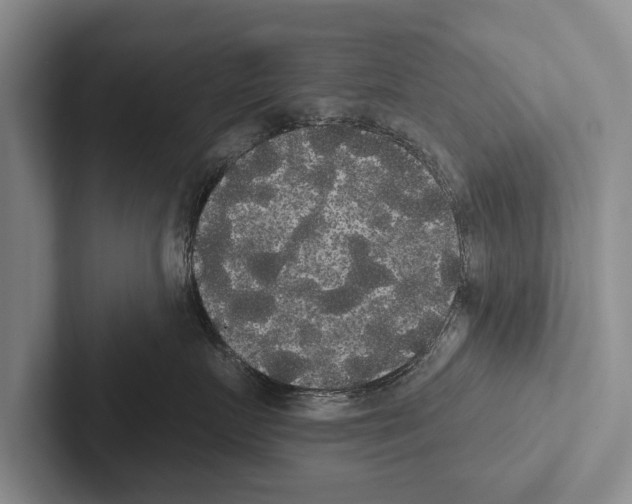 X0000102530719200809051509