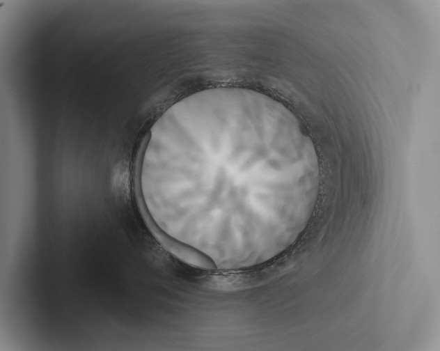 X0000102530720200809051509