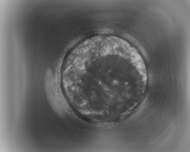 X0000102530721200809051508