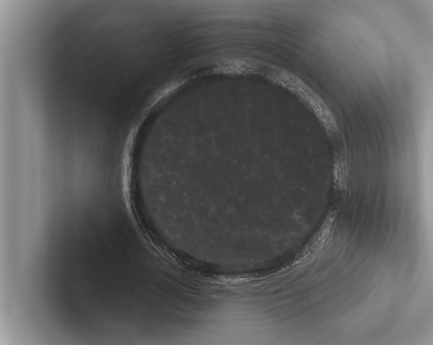 X0000102530724200809051508