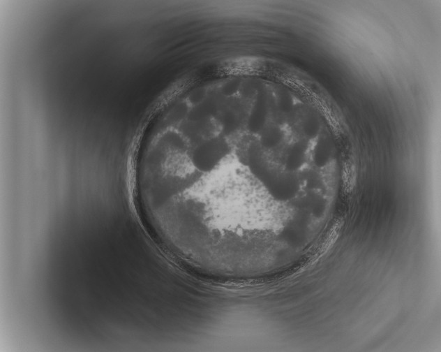 X0000102530725200809051508