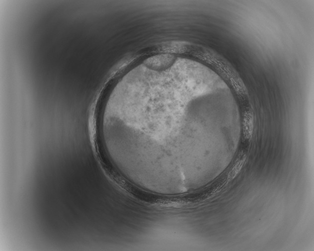 X0000102530726200809051508