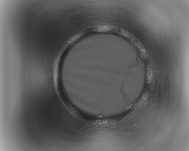 X0000102530728200809051509