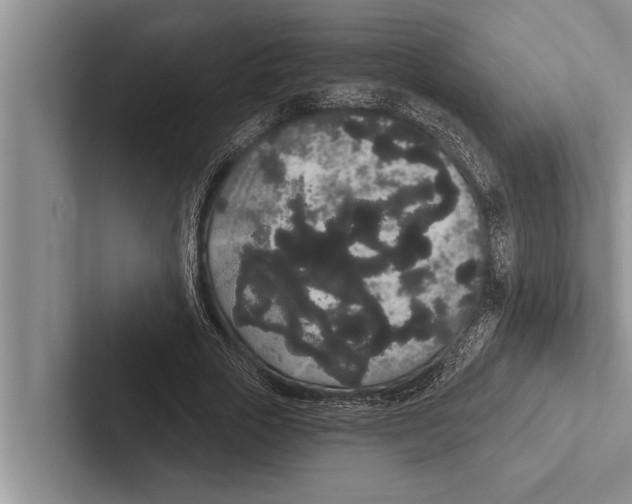X0000102530729200809051509
