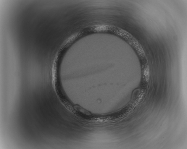X0000102530732200809051509