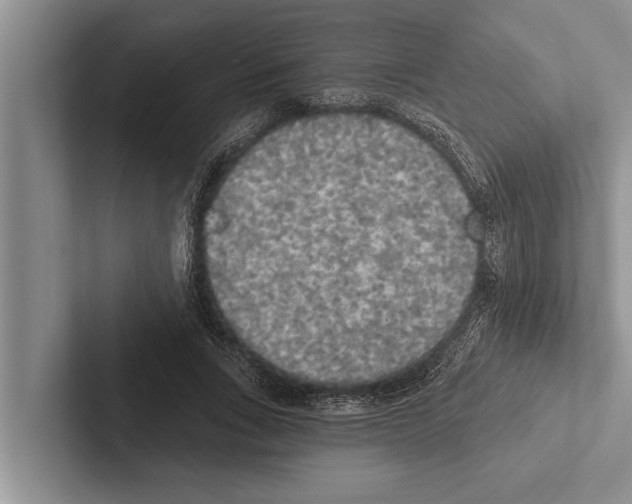 X0000102530735200809051509