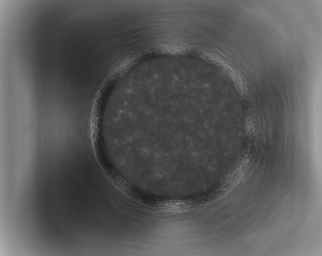 X0000102530736200809051509