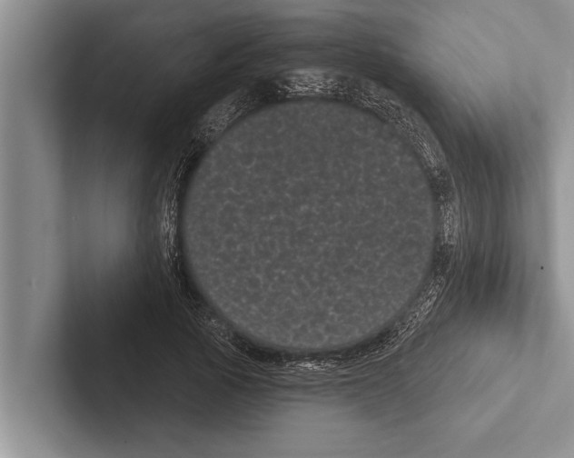 X0000102530737200809051509