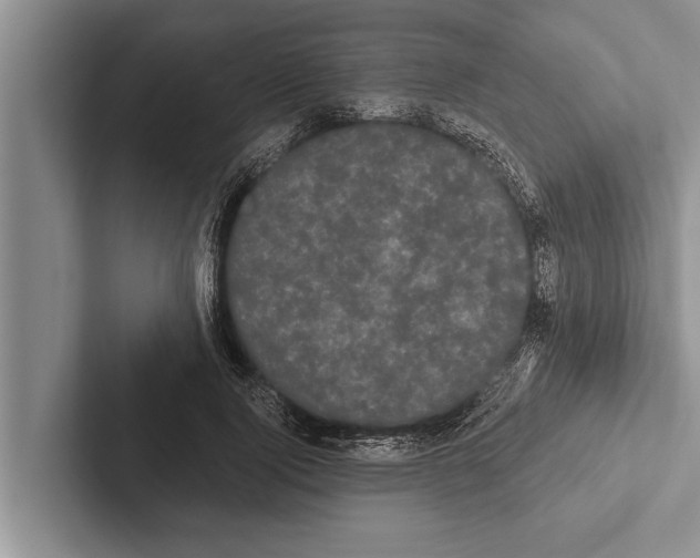 X0000102530740200809051509